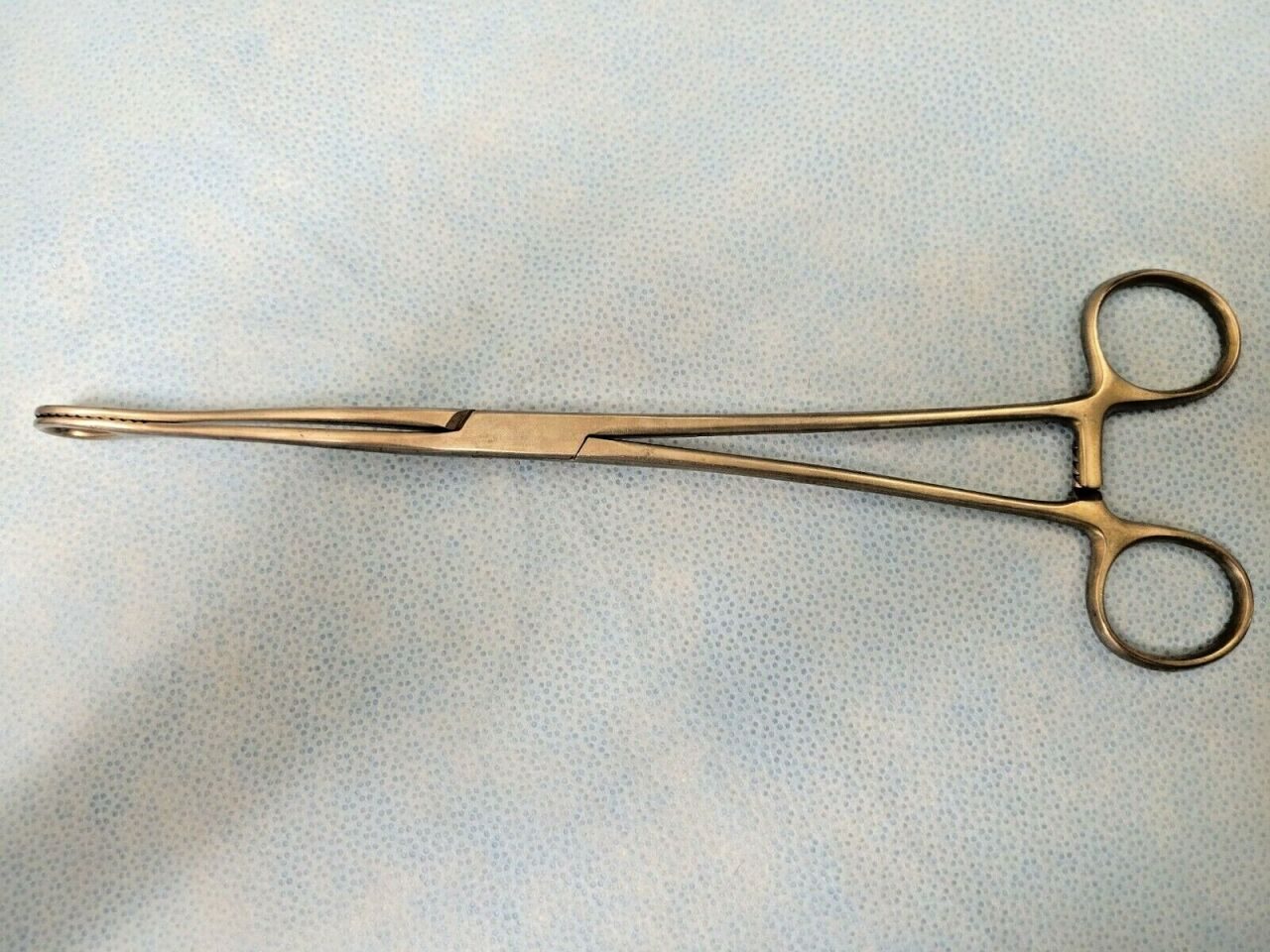 V. MUELLER GL660 Foerster Sponge Forcep Curved Serrated Tip 9-5/8" — photo 1