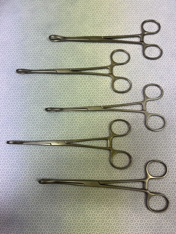 JARIT 114-102 Foerster Sponge Holding Forceps 7" Straight Serrated Jaws Set of 5