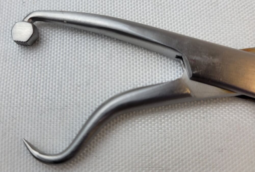 GSOURCE 5 & 5 1/2" Plate and Bone Holding Forceps — photo 4
