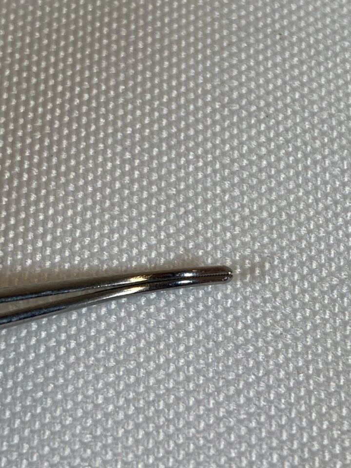 KARL STORZ E-1412 Curved Dressing Forcep 4" Serrated Jaws — photo 6