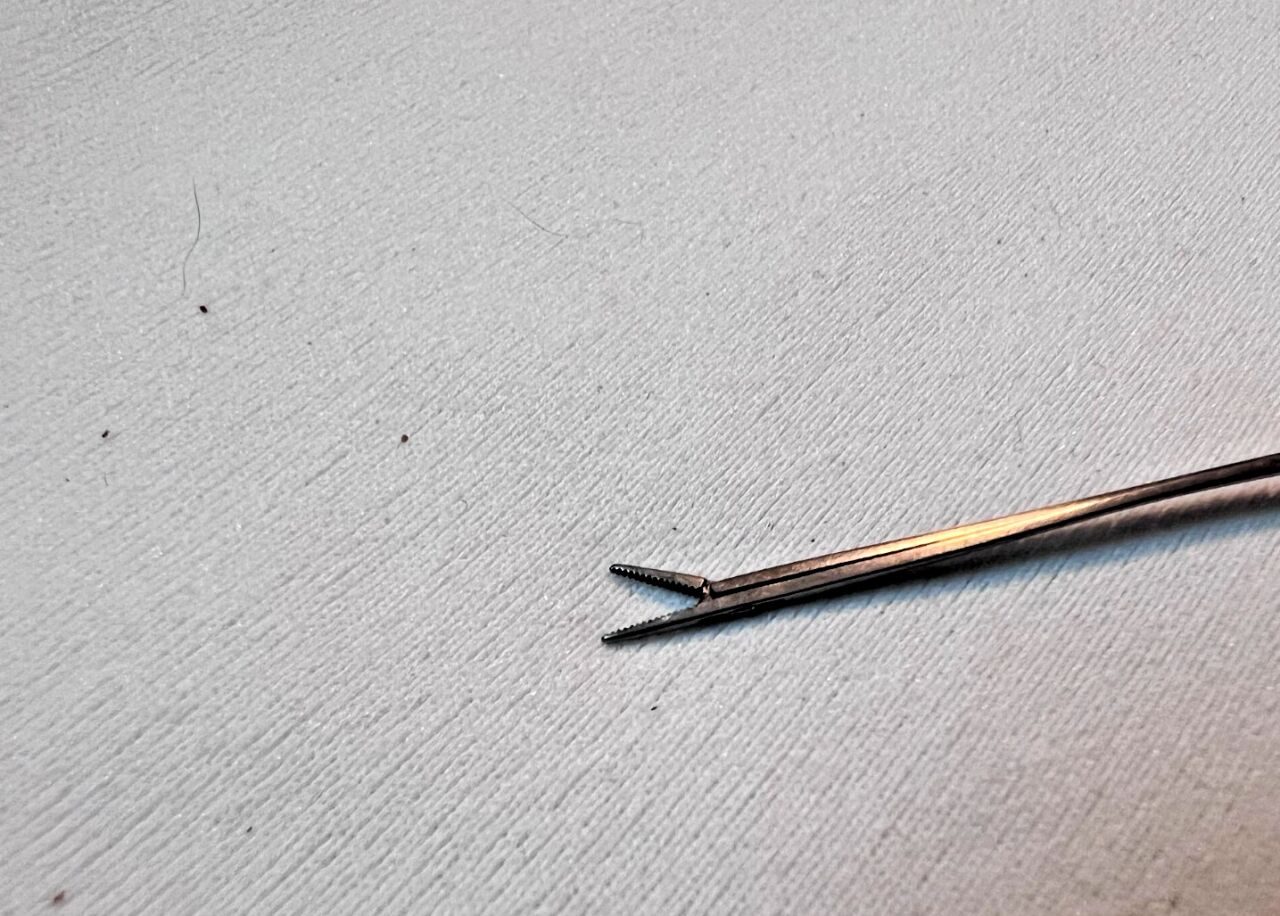 KARL STORZ House X241 Storz X241 House Mini Forceps 4mm Delicate Serrared Jaws 5.3" Length ENT — photo 2
