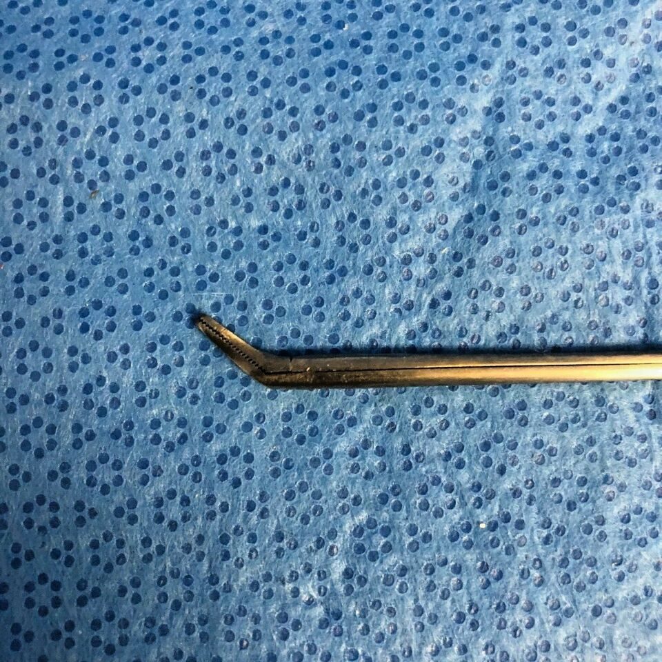 API PA77-220 LU Straight Duckbill Nasal Forceps 7.5" — photo 3