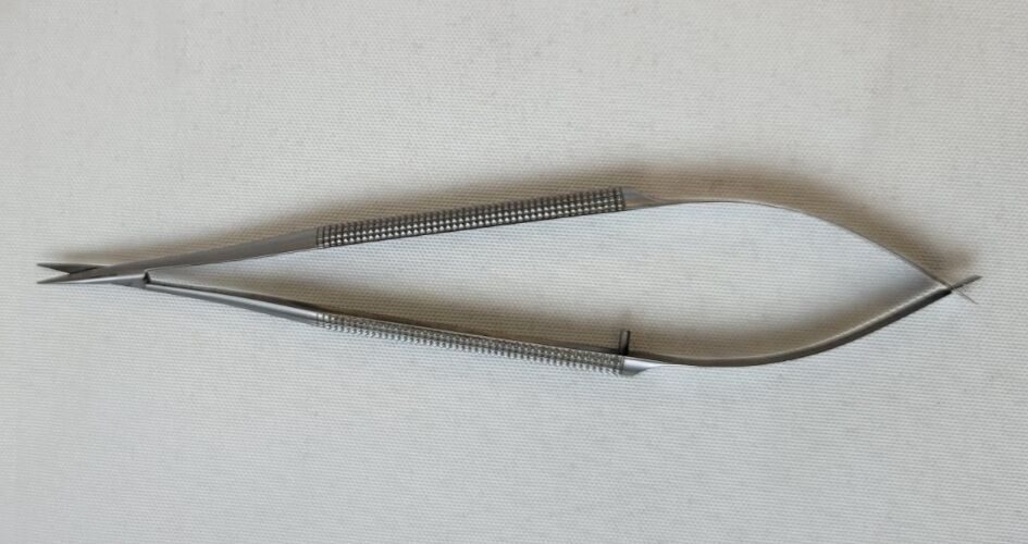 ASSI SAS-15R8 Adventitia and Suture Scissors, Straight, Stainless Steel, 6"