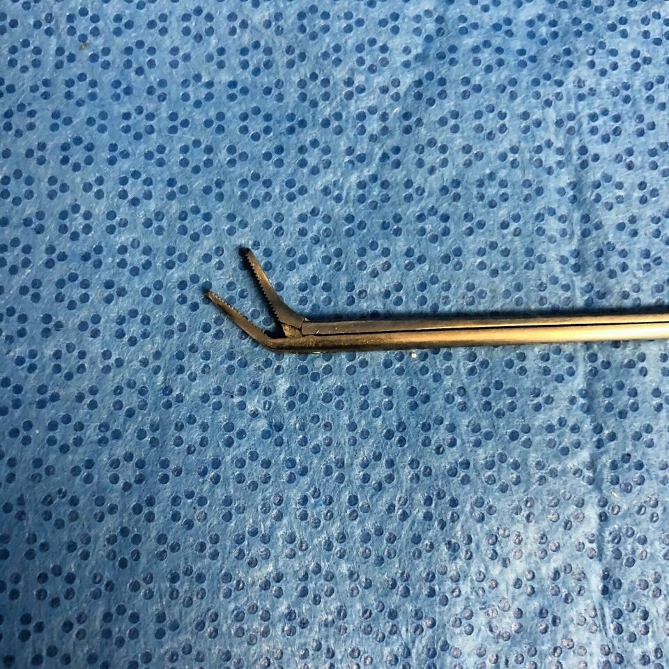 API PA77-220 LU Straight Duckbill Nasal Forceps 7.5" — photo 4