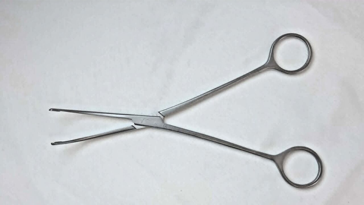 WEXLER FL0884.1 Curved Stainless Serrated Tips 8" Dennis Browne Dissector — photo 5