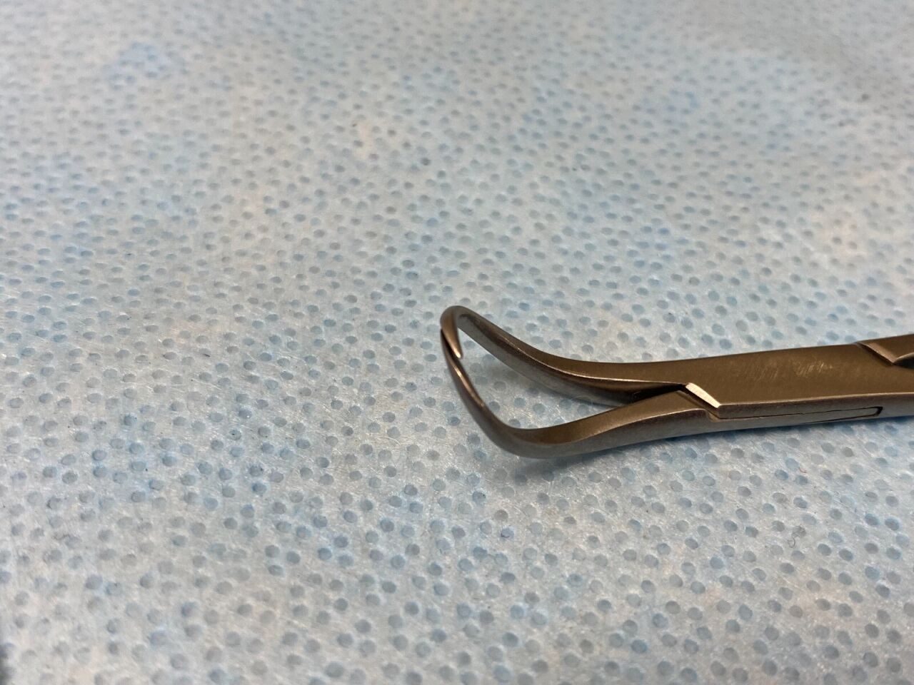 JARIT 111-100 Backhaus Towel Forcep 3 1/2" — photo 4