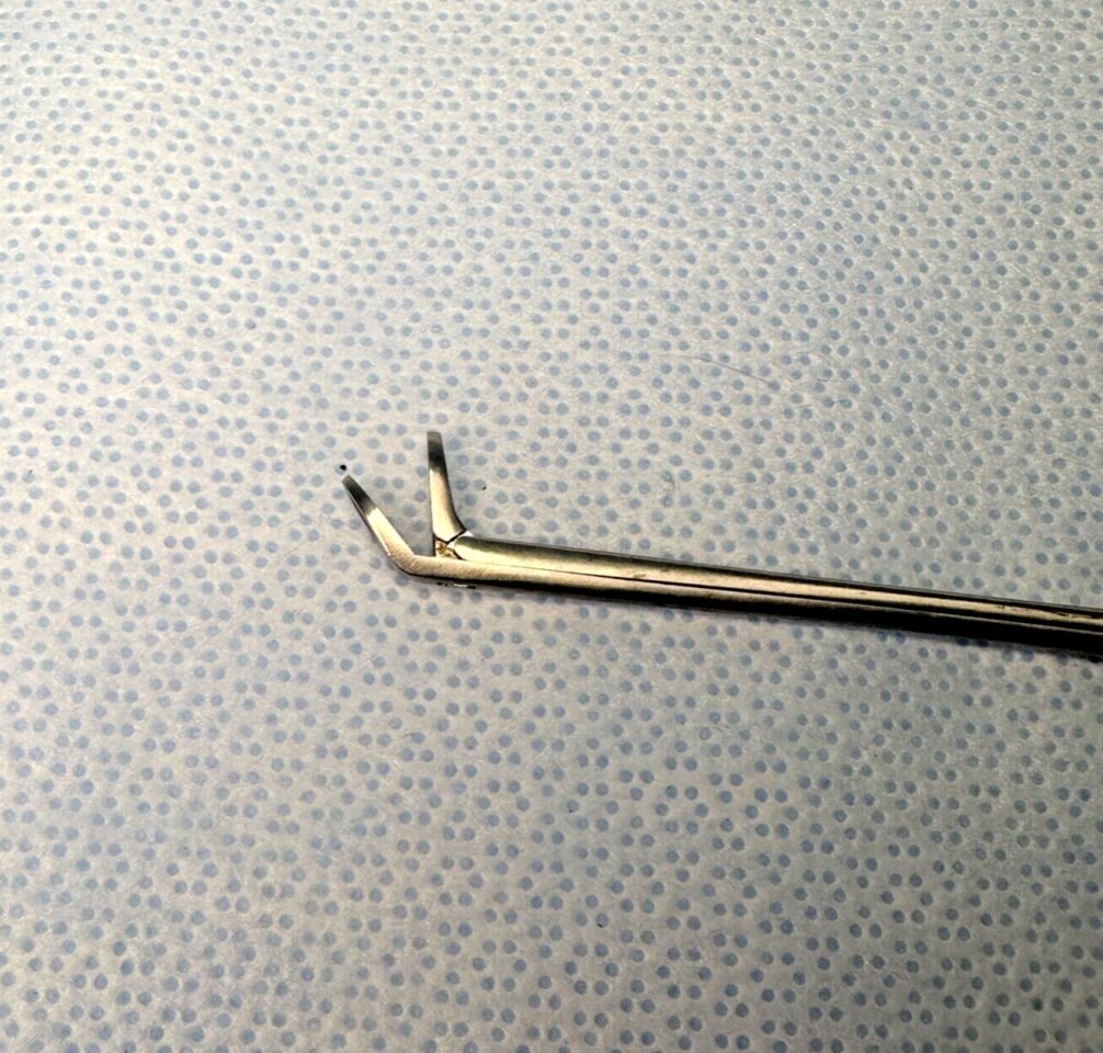 RICHARDS 23-0673 Weil-Blakesley Forceps 3.6mm X 10mm — photo 5