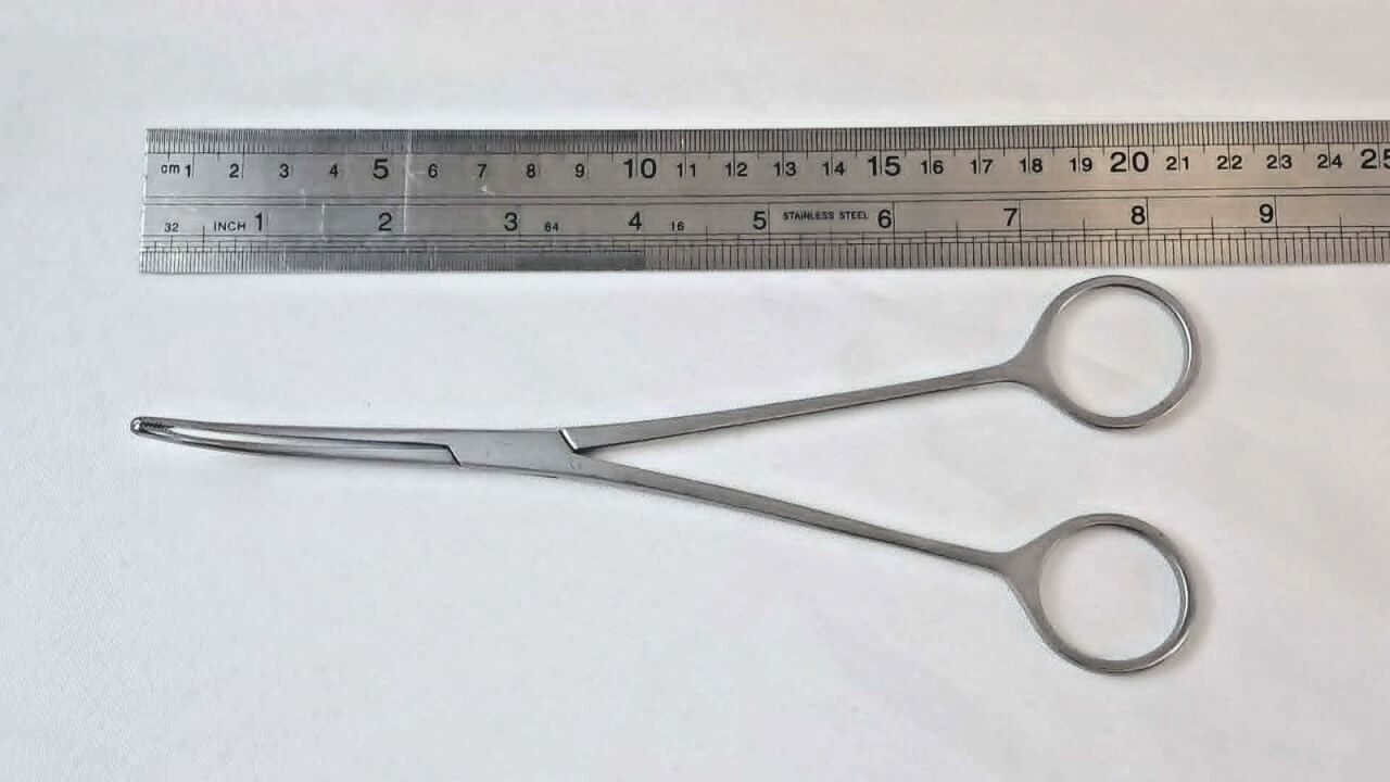 WEXLER FL0884.1 Curved Stainless Serrated Tips 8" Dennis Browne Dissector — photo 6
