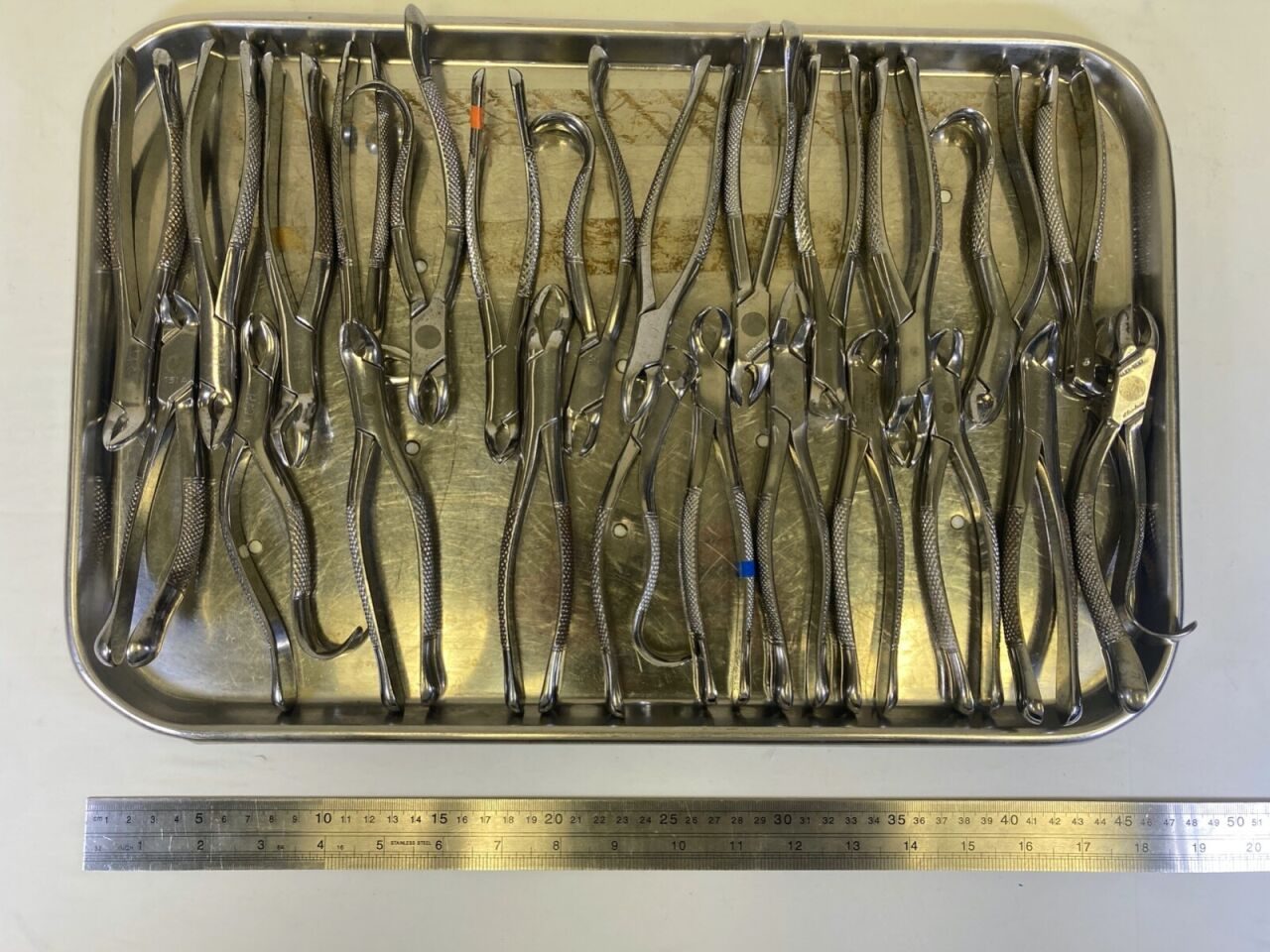 VARIOUS  Clev-Dent Premier Dental Extraction Forcep Set w/ Perforated Pan — photo 12