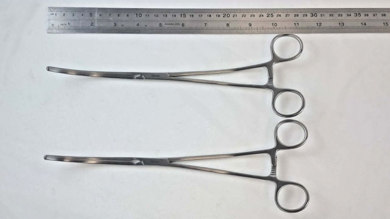 JARIT 320-282 Lot of 2 DeBakey Aortic Curved Forceps 1 x 2 Teeth 10-1/2" — photo 6