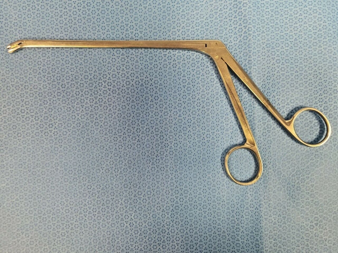 WECK 390176 11" Stainless Steel Down Angled Forcep