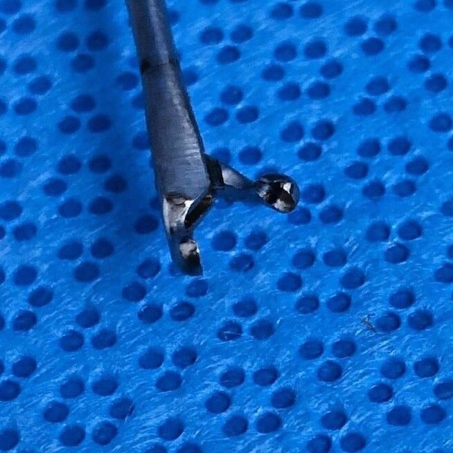 PILLING 50-6461 Right Angled Micro Jako Kleinsasser Cup Forceps — photo 7