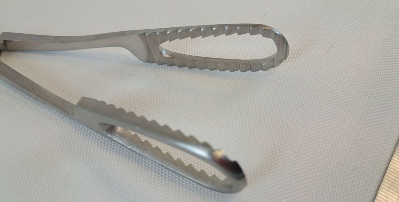 AESCULAP MG469R Bierer Ovum Forceps w/ Ratchet 19mm Jaws 280mm Length — photo 2