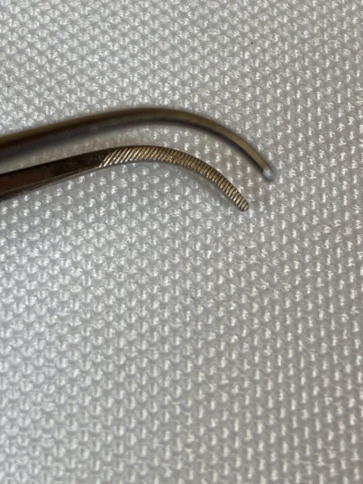 KARL STORZ E-1412 Curved Dressing Forcep 4" Serrated Jaws — photo 4