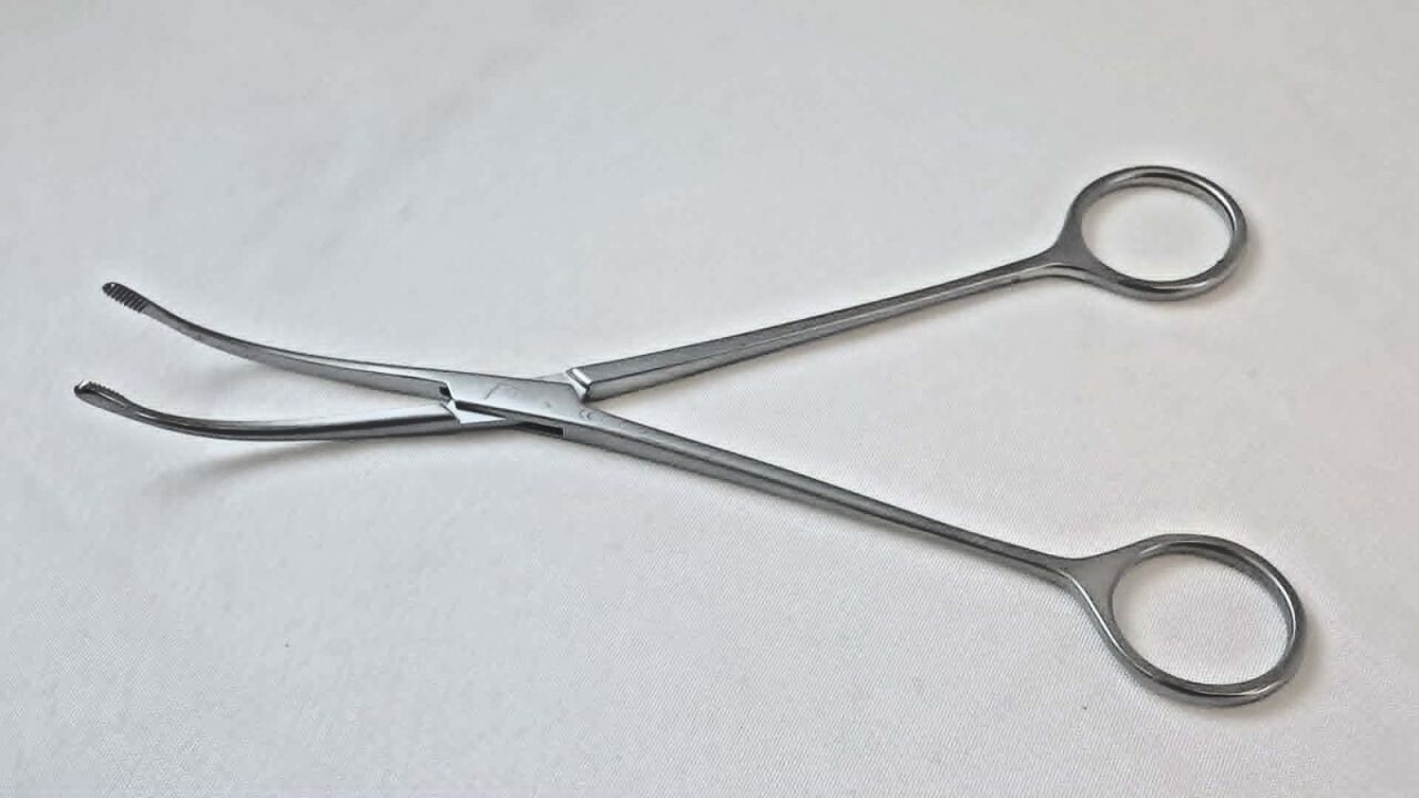 WEXLER FL0884.1 Curved Stainless Serrated Tips 8" Dennis Browne Dissector