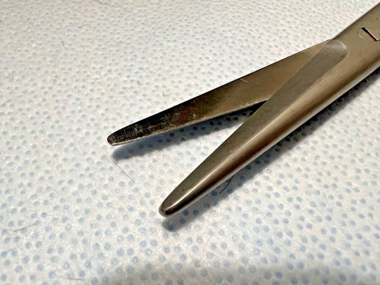 JARIT 099-210 Straight Mayo Scissor Beveled Blade, 3.7mm Tips X 6-3/4" Length — photo 2