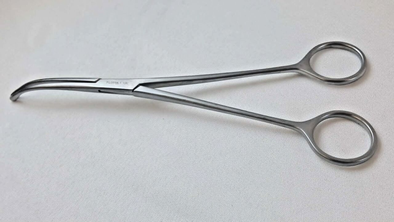 WEXLER FL0884.1 Curved Stainless Serrated Tips 8" Dennis Browne Dissector — photo 3