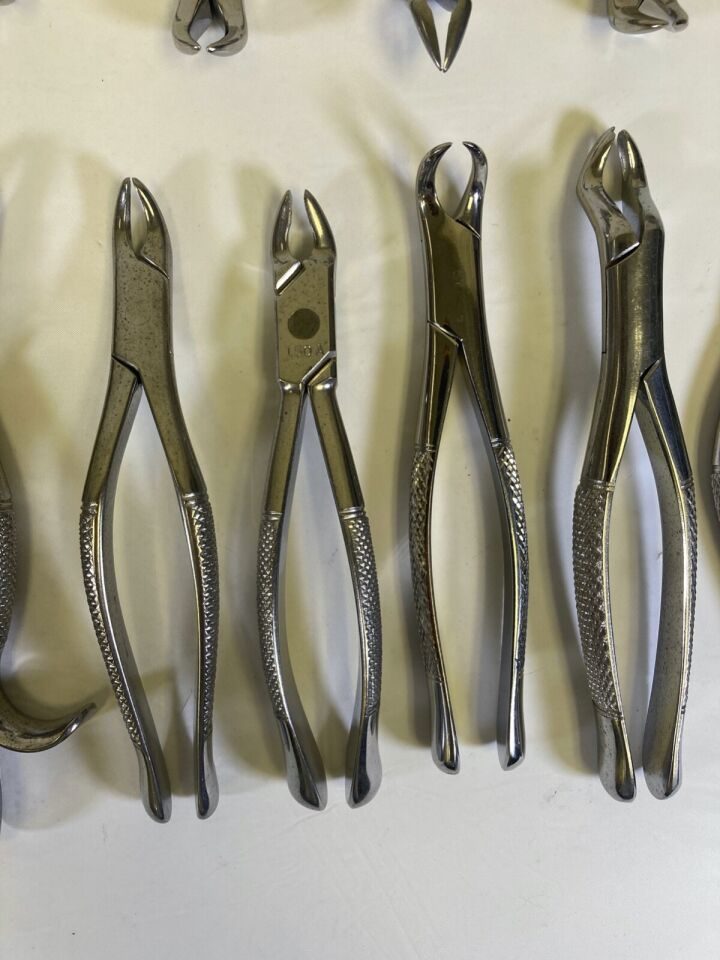 VARIOUS  Clev-Dent Premier Dental Extraction Forcep Set w/ Perforated Pan — photo 8