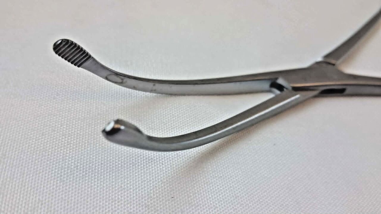 WEXLER FL0884.1 Curved Stainless Serrated Tips 8" Dennis Browne Dissector — photo 2