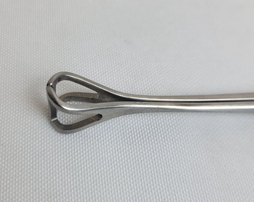 MILTEX 16-48 Babcock Tissue Forceps, Triangular Jaws, 9-1/2" — photo 2